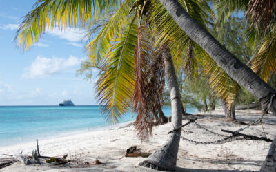 Gemeinsam gegen die Plastikverschmutzung der Seychellen Kreuzfahrtreederei PONANT unterstützt Aldabra-Clean-Up-Projekt