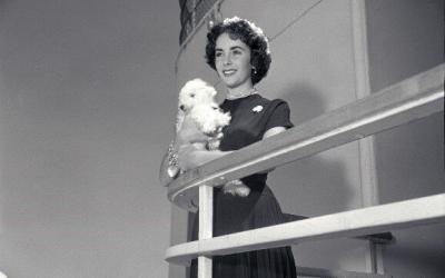 Ein Hauch von Hollywood: Exklusive Elizabeth Taylor Ausstellung auf der Queen Mary 2